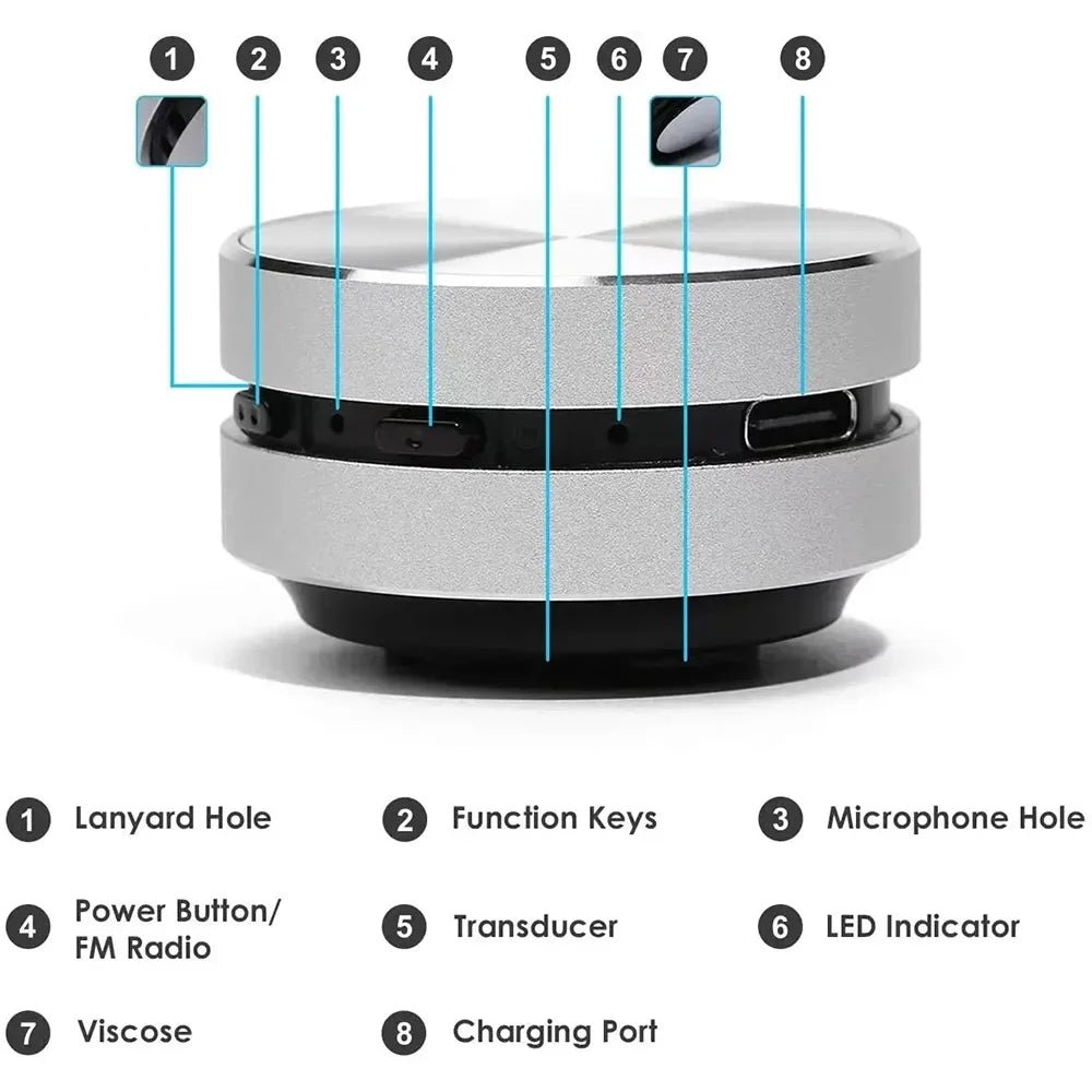 Bone Conduction Hummingbird Speaker - Shoplyi